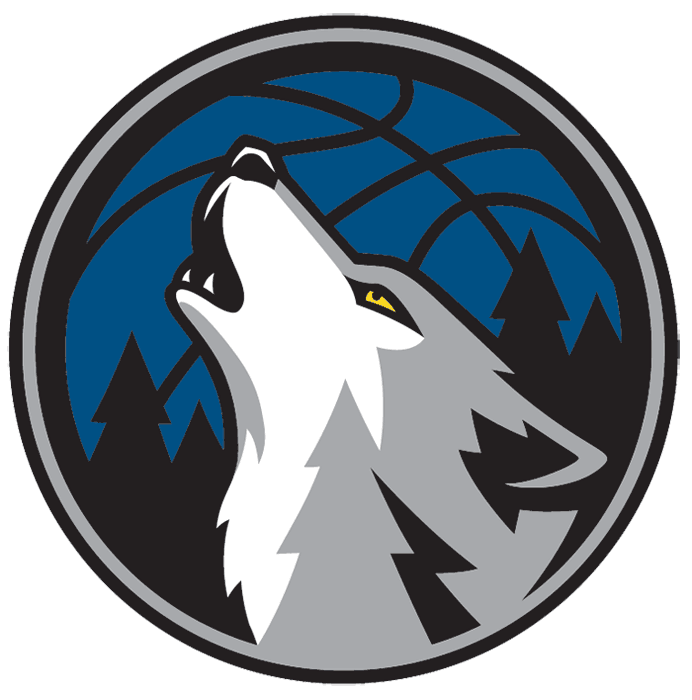 Minnesota Timberwolves 2008-2017 Alternate Logo t shirts iron on transfers v2